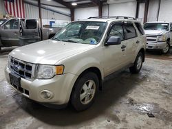 Ford Vehiculos salvage en venta: 2011 Ford Escape XLT