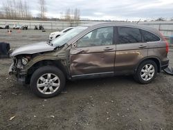 Honda Vehiculos salvage en venta: 2009 Honda CR-V EXL