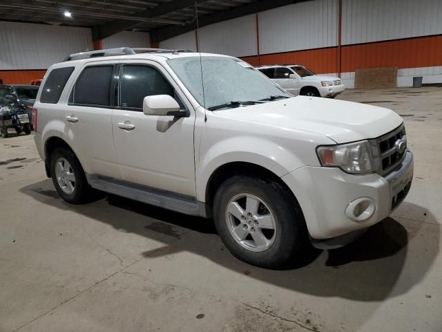 2011 Ford Escape Limited