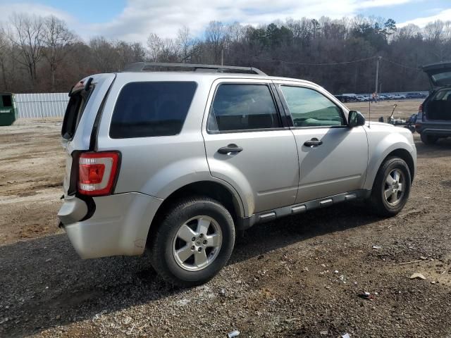 2011 Ford Escape XLS