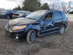 Hyundai Santa fe salvage cars for sale: 2010 Hyundai Santa FE SE