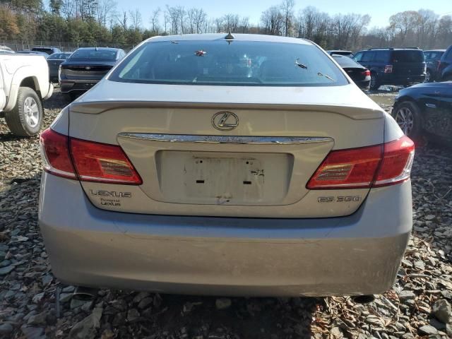 2010 Lexus ES 350