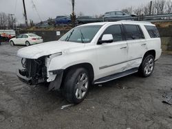 Cadillac salvage cars for sale: 2019 Cadillac Escalade Luxury