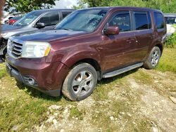 Honda Pilot salvage cars for sale: 2013 Honda Pilot EX