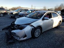 Toyota Corolla salvage cars for sale: 2017 Toyota Corolla L