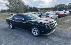 Dodge Challenger salvage cars for sale: 2009 Dodge Challenger SE