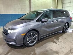 Honda Odyssey salvage cars for sale: 2024 Honda Odyssey Elite