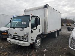 Chevrolet salvage cars for sale: 2023 Chevrolet 4500