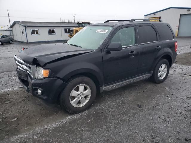 2010 Ford Escape XLT