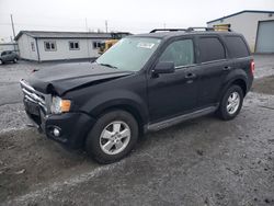 Ford Escape salvage cars for sale: 2010 Ford Escape XLT