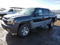 Chevrolet Avalanche salvage cars for sale: 2005 Chevrolet Avalanche C1500