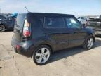 2010 KIA Soul +