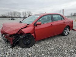 Toyota Corolla salvage cars for sale: 2013 Toyota Corolla Base