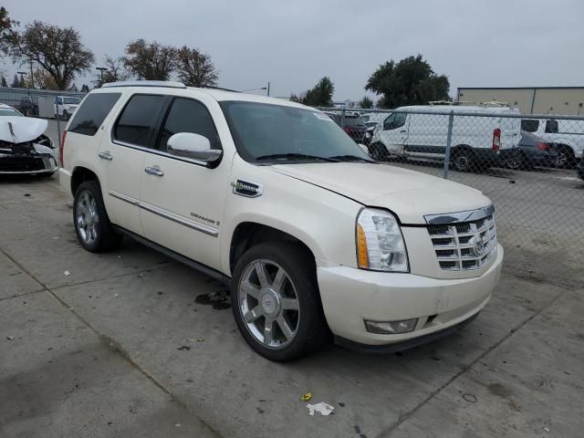 2009 Cadillac Escalade Hybrid