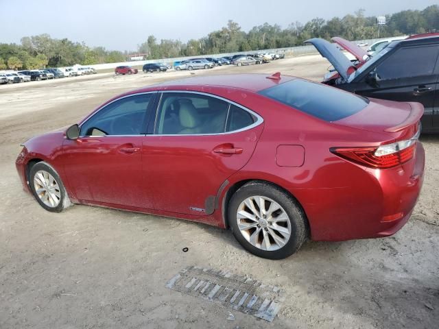 2013 Lexus ES 300H