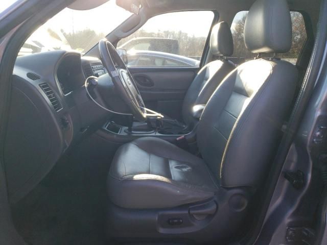 2007 Ford Escape XLT