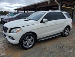 2013 Mercedes-Benz ML 350 for sale in Tanner, AL