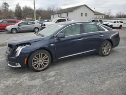 Cadillac salvage cars for sale: 2019 Cadillac XTS Luxury