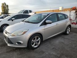 Ford Focus salvage cars for sale: 2013 Ford Focus SE