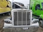 2010 Peterbilt 389