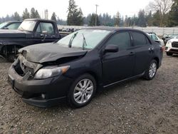 Toyota Corolla salvage cars for sale: 2010 Toyota Corolla Base