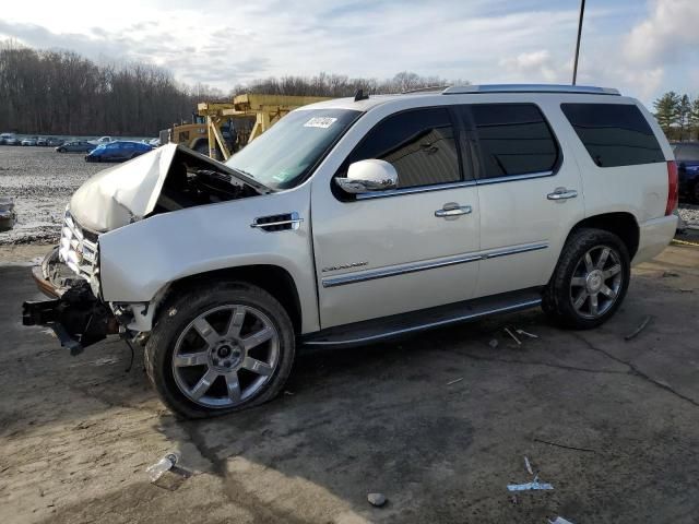 2010 Cadillac Escalade Luxury