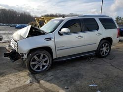 Cadillac Escalade salvage cars for sale: 2010 Cadillac Escalade Luxury