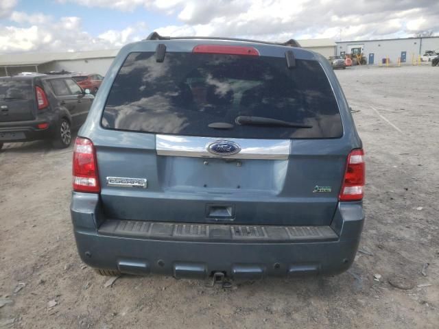 2011 Ford Escape Limited