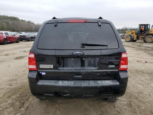 2010 Ford Escape XLT