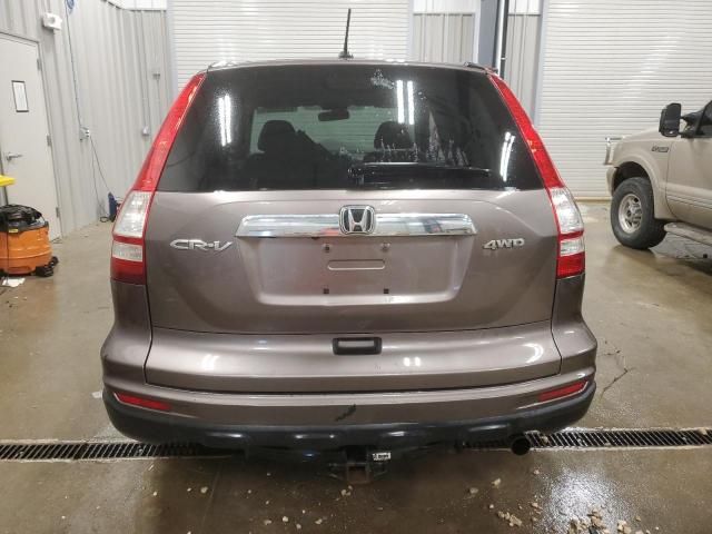 2010 Honda CR-V EXL