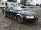 2004 Ford Mustang