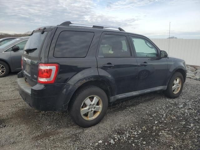 2011 Ford Escape Limited