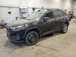 Toyota rav4 salvage cars for sale: 2022 Toyota Rav4 XLE