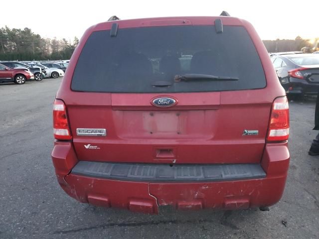 2011 Ford Escape XLT