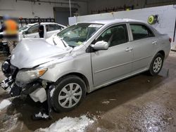 Toyota salvage cars for sale: 2010 Toyota Corolla Base