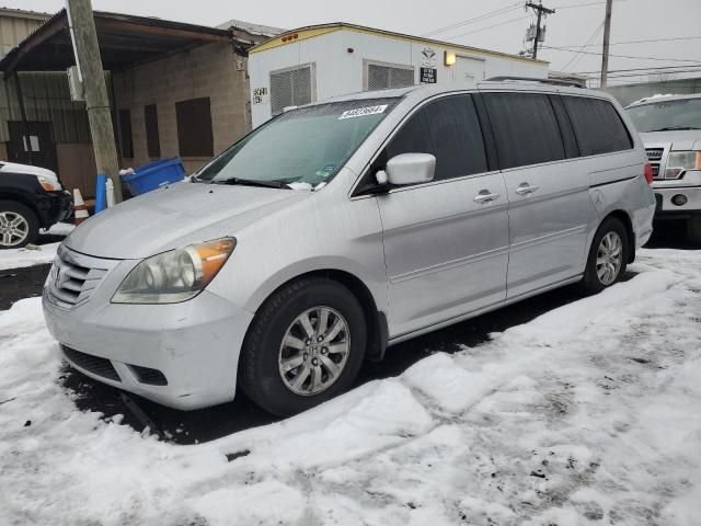 2010 Honda Odyssey EXL