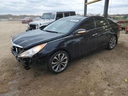 Hyundai Sonata salvage cars for sale: 2013 Hyundai Sonata SE