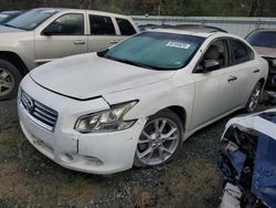 Nissan Maxima salvage cars for sale: 2013 Nissan Maxima S