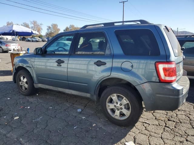 2011 Ford Escape XLT