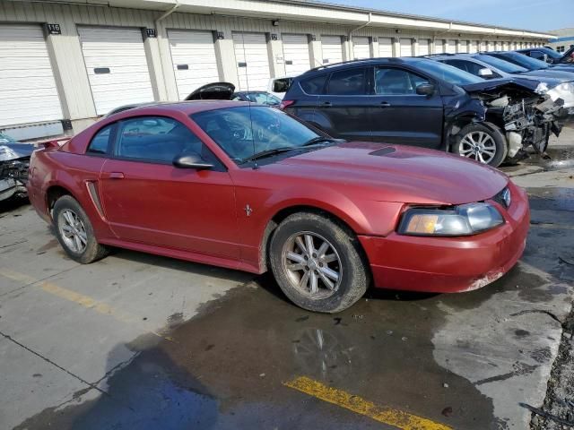 2002 Ford Mustang