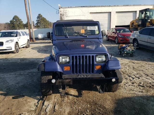 1994 Jeep Wrangler / YJ S