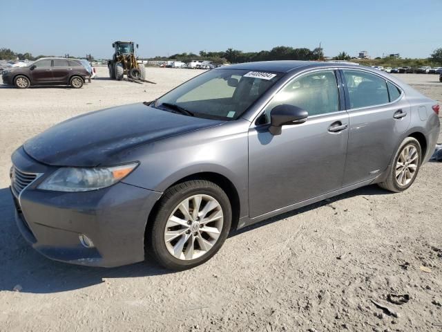 2013 Lexus ES 300H