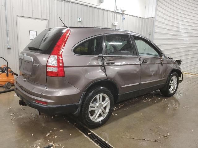 2010 Honda CR-V EXL