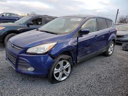 Ford Escape salvage cars for sale: 2014 Ford Escape SE