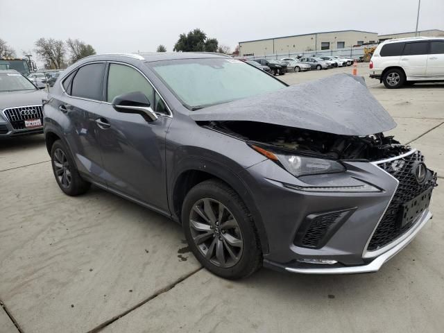 2019 Lexus NX 300 Base