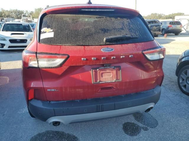 2021 Ford Escape SEL