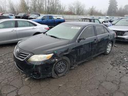 Toyota Camry salvage cars for sale: 2011 Toyota Camry Base