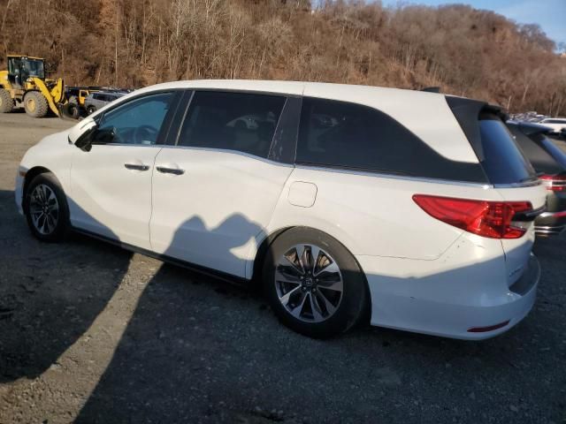 2021 Honda Odyssey EXL