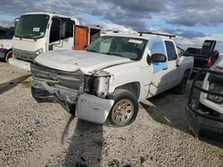 Chevrolet salvage cars for sale: 2009 Chevrolet Silverado C1500