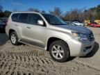 2010 Lexus GX 460